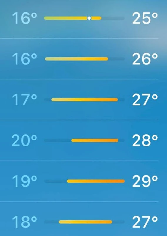 ахуеть, лето вернулось ☀️