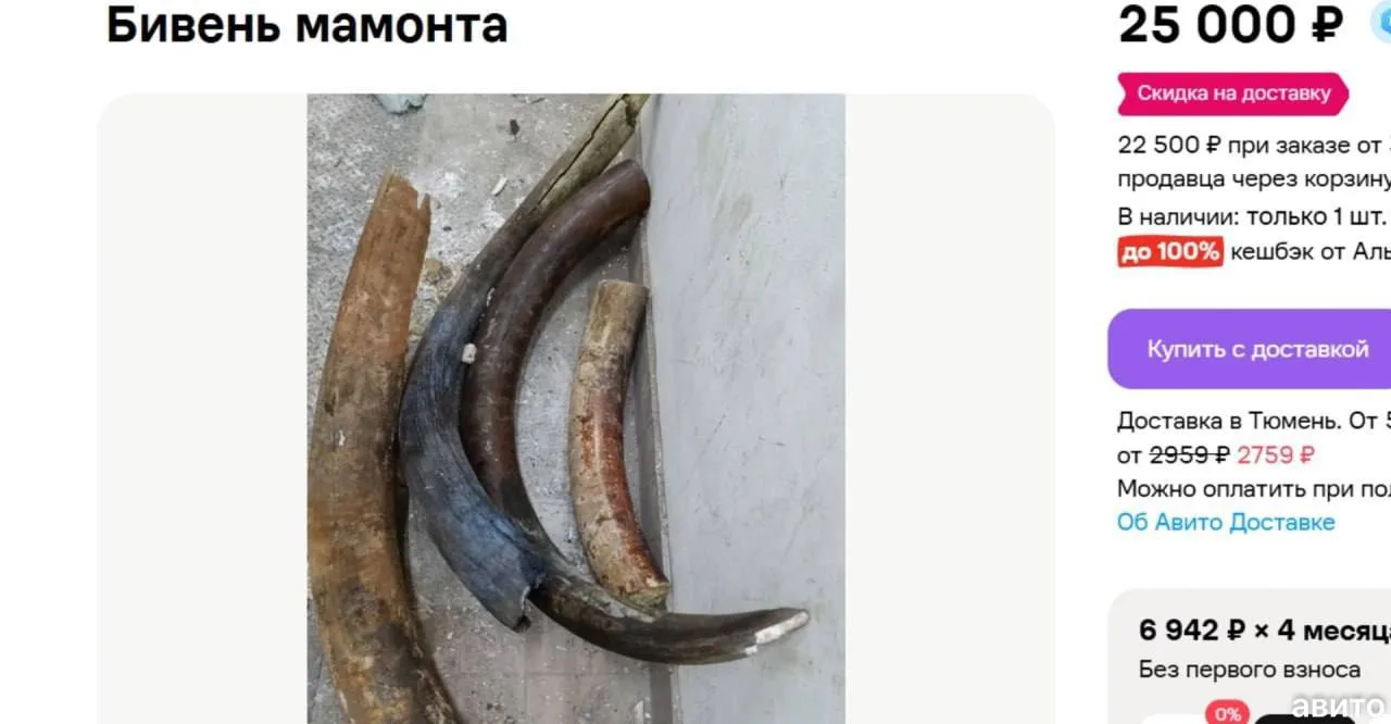 Изображение 1 к публикации «Новости Сургута и ХМАО»