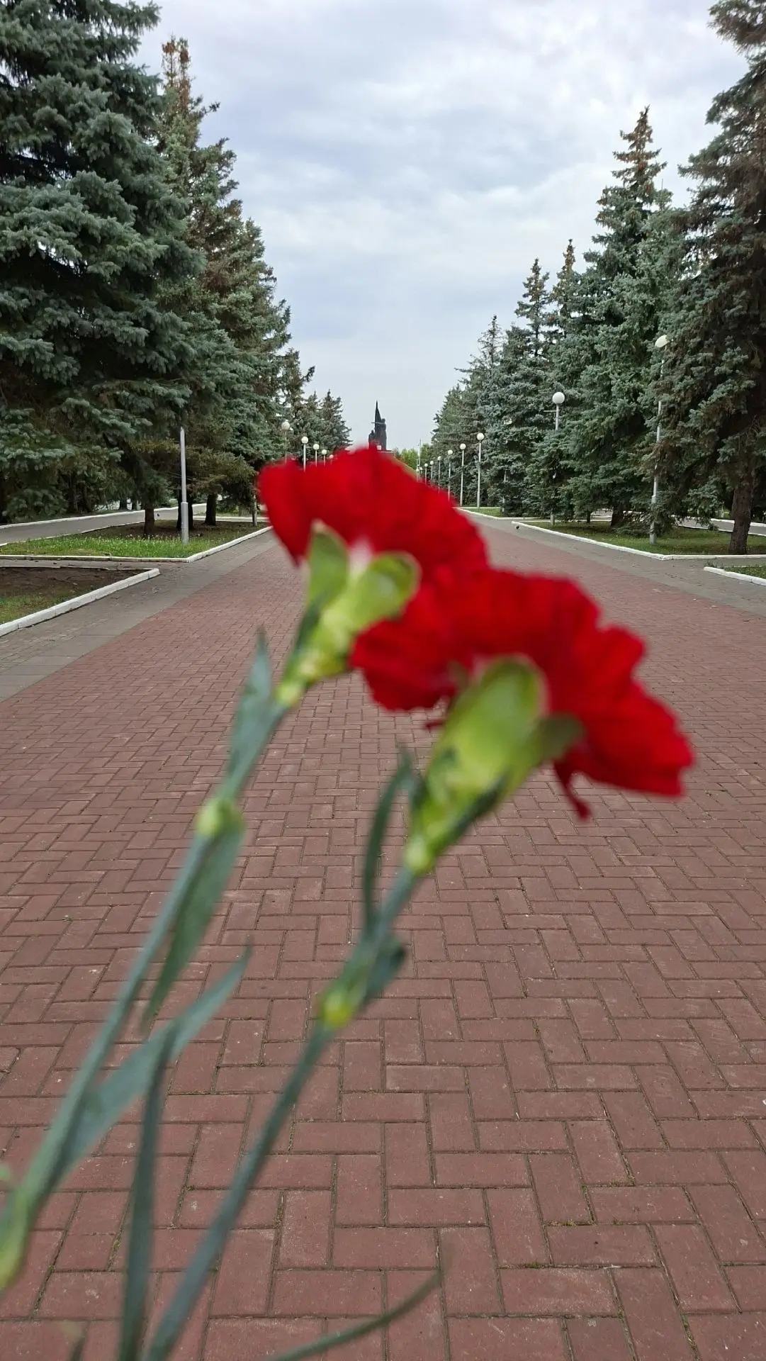 27 июля, в День памяти детей-жертв войны в Донбассе, #НашиПедагоги возложили цветы к Вечному огню в 