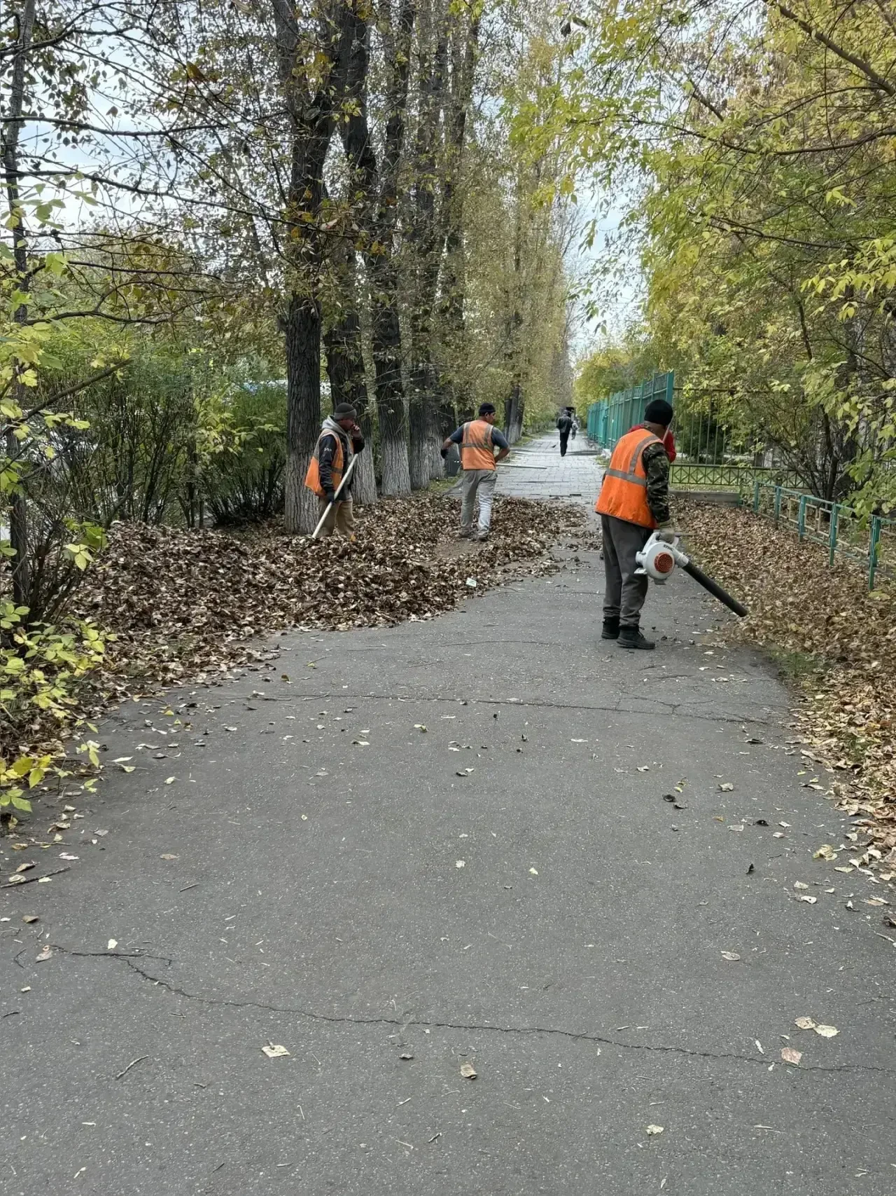 🍂 Уборку опавшей листвы ежедневно проводят в Иркутске.