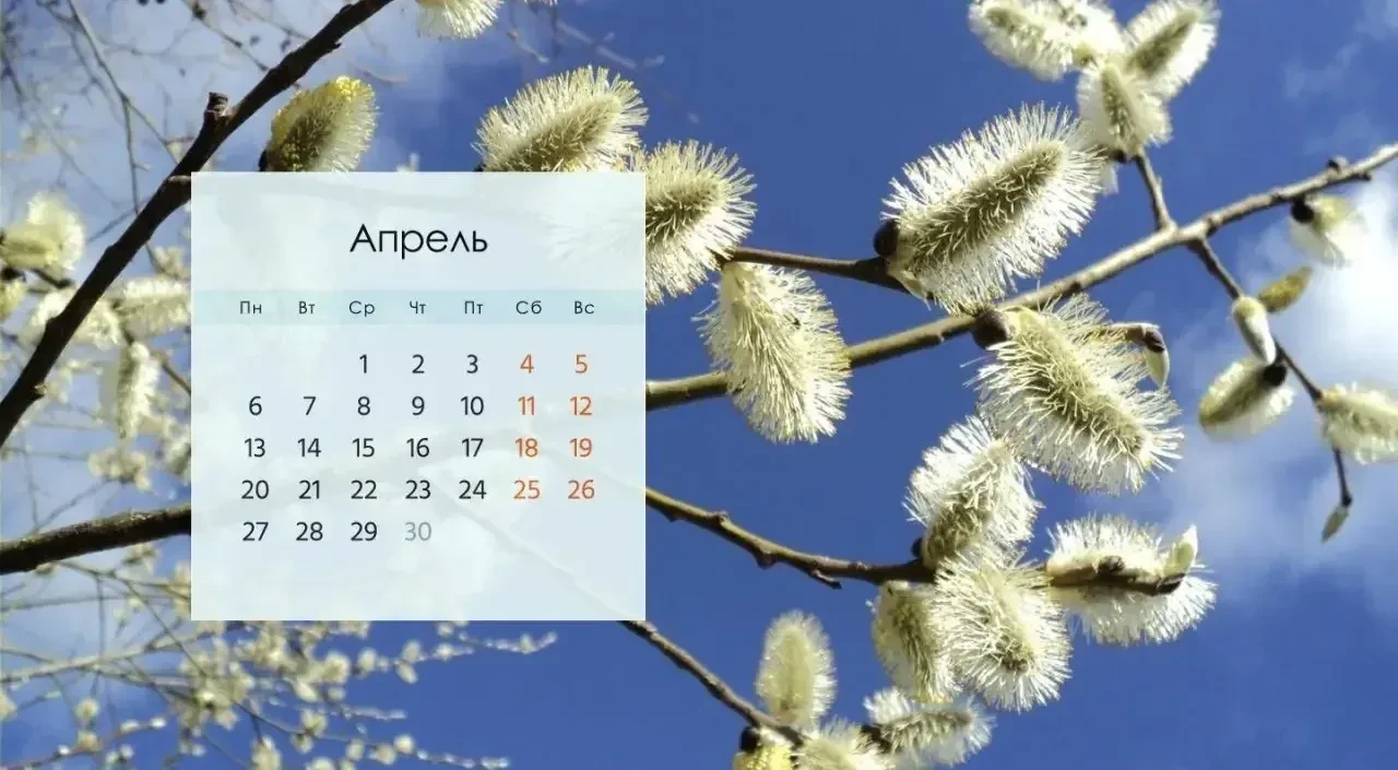 🌞 Достаем лежаки, убираем пуховики