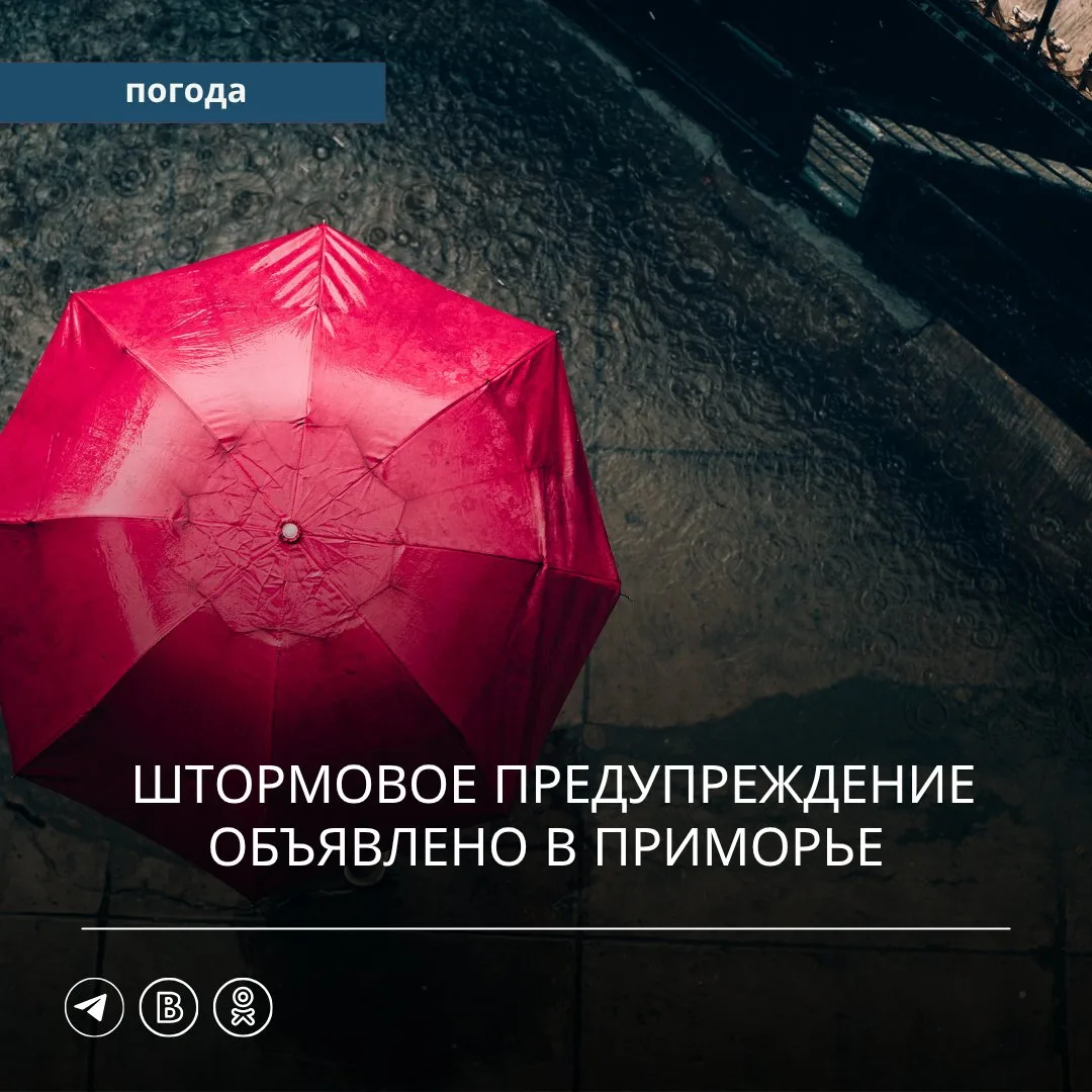⚠️ Штормовое предупреждение объявлено в Приморье