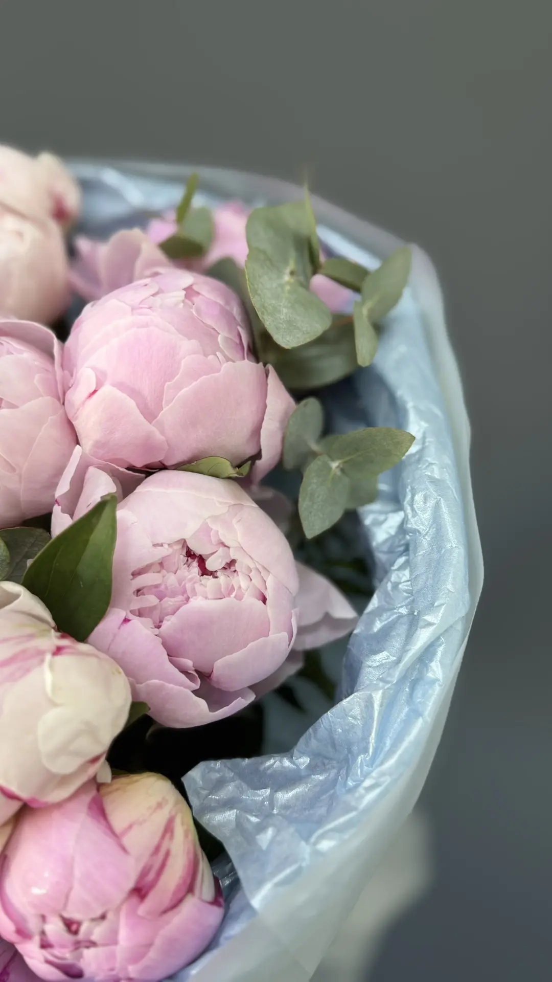 🌸 СЕЗОН ПИОНОВ В САМОМ РАЗГАРЕ 🌸