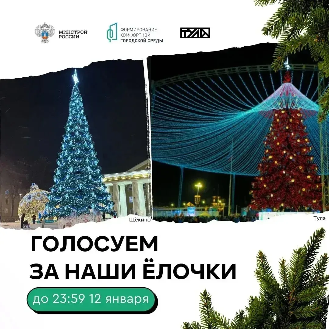Сразу два проекта от Тульской области вышли в финал федерального этапа Всероссийского конкурса «Ёлки