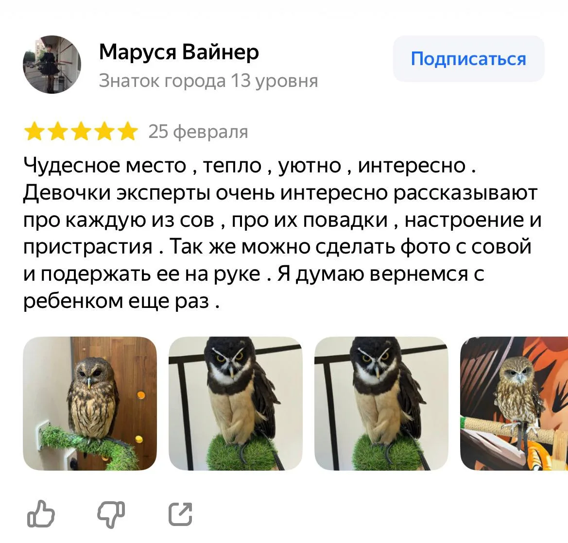 Отзывы:

Посетители совиного дома на старом Арбате отмечают красоту и уют помещения

💟Мне, как диза