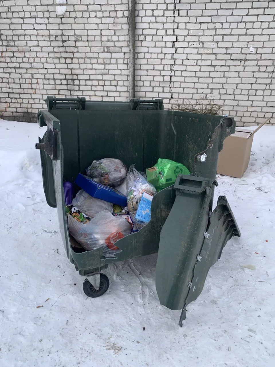 Вот и наш красавчик приехал.