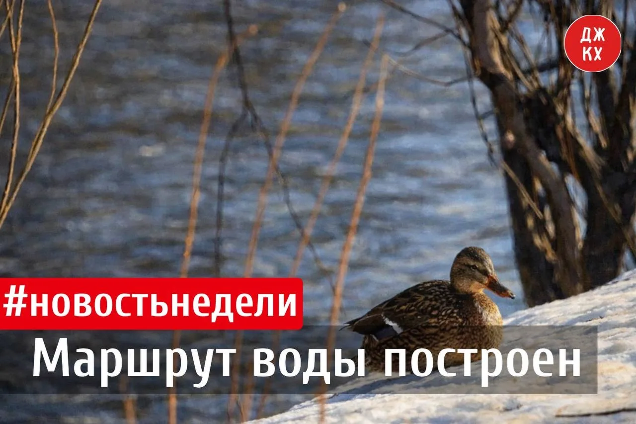 Весна — это не только солнце и +10. Это ещё и серьёзная нагрузка на всю городскую систе...