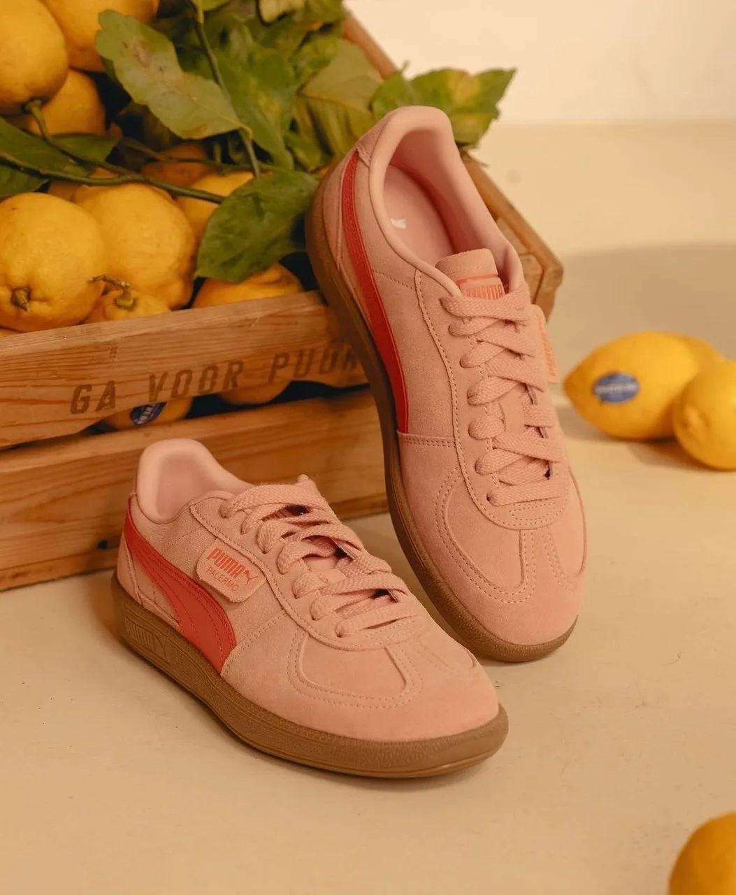 Puma