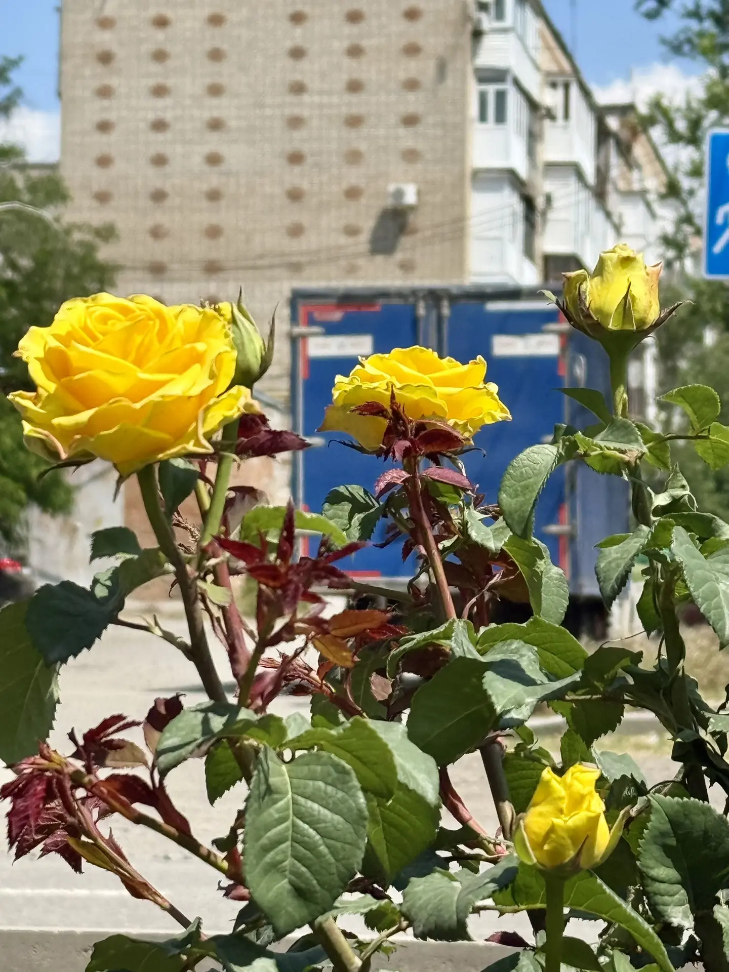 Доброе утро, Красный Сулин! 🌸
_______________  

Погода 13 июня:                                   