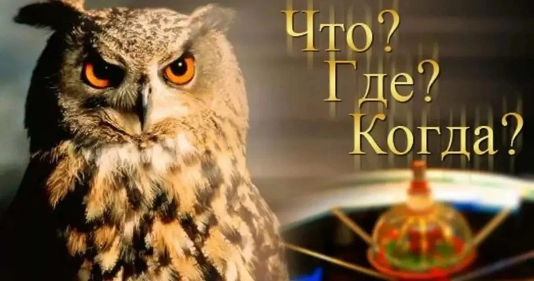 «Что? Где? Когда?»🦉