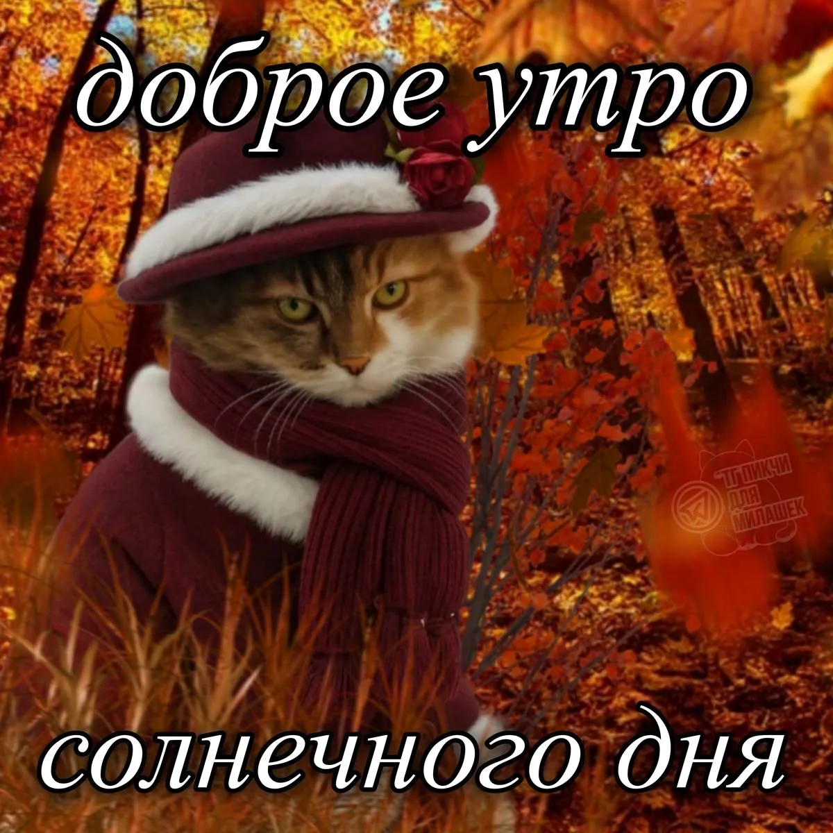 Холоднючее утро понедельника пришло 😭