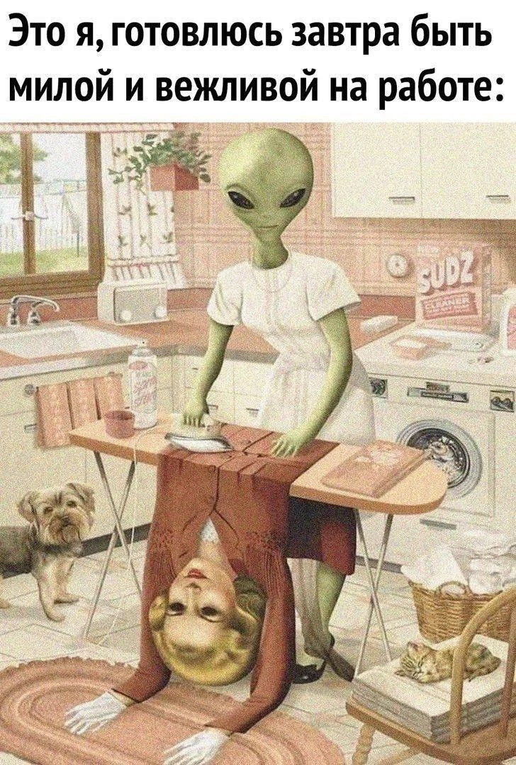 По Щучьему Велению