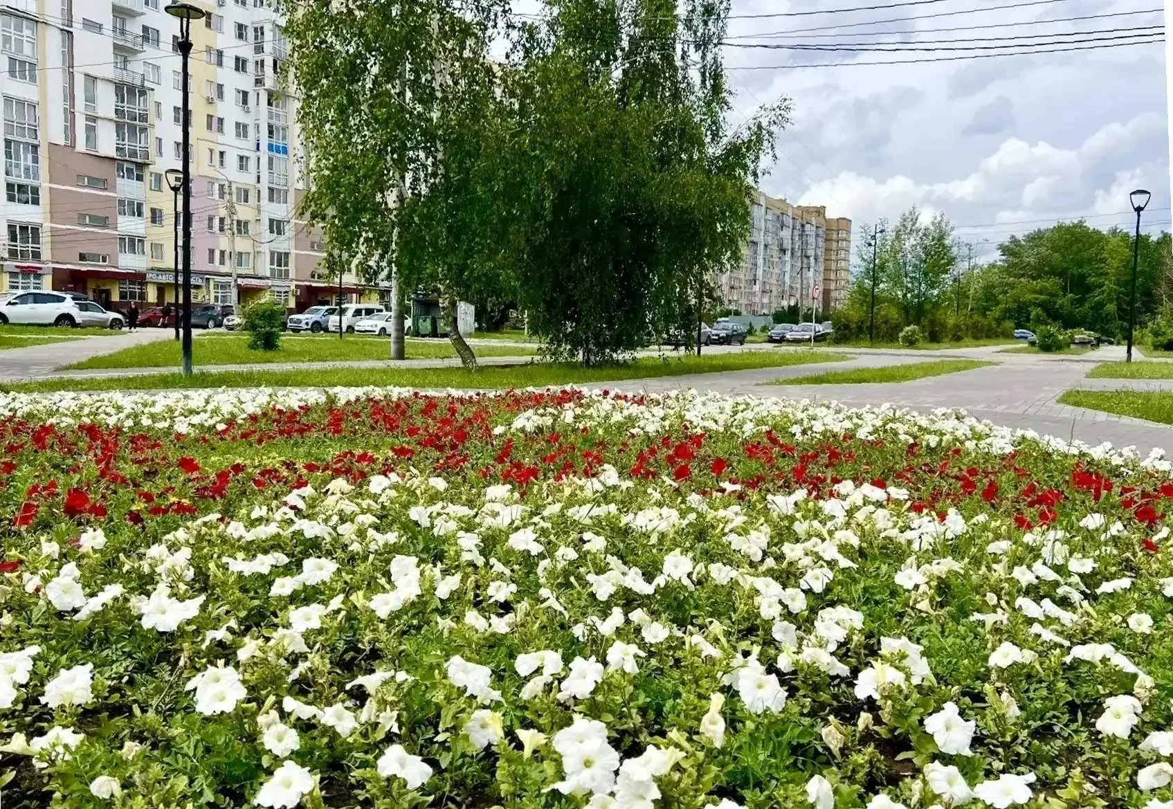 Ура! Лето началось! ☀