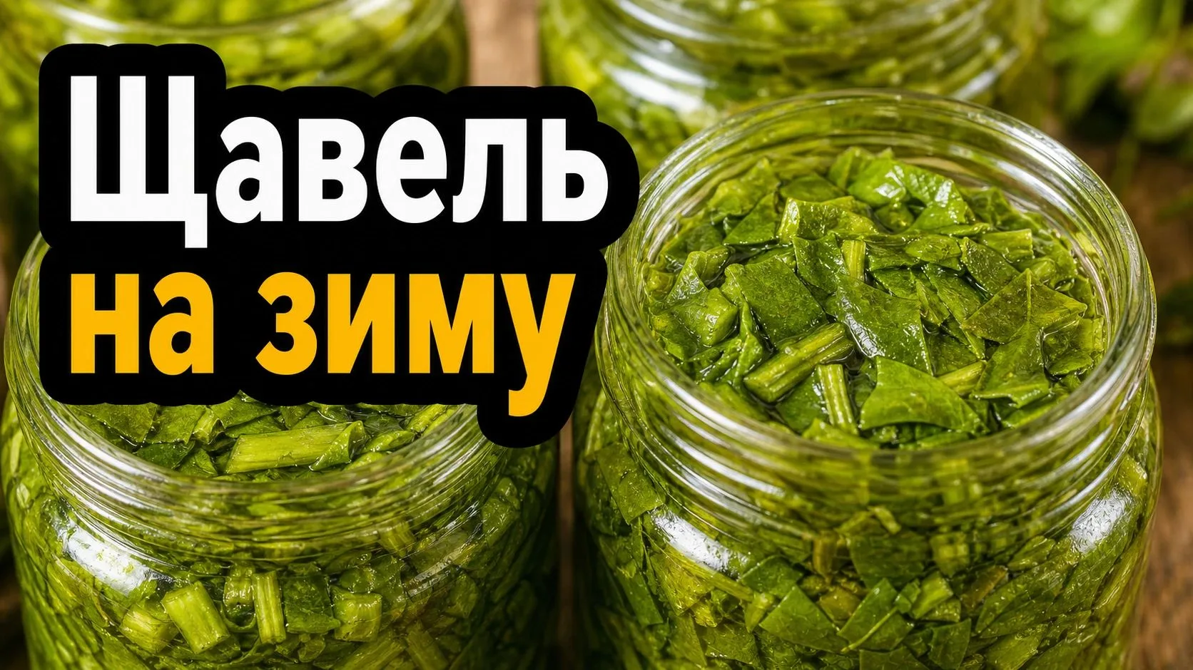 Щавель на зиму простым способом