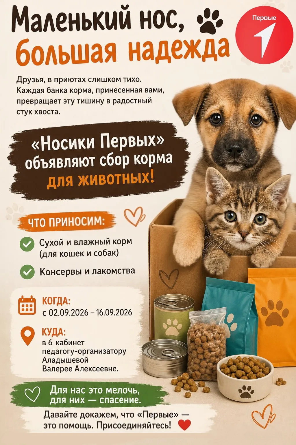 🐾🐈 В нашей школе официально стартовала невероятно добрая и благотворительная акция «Н...