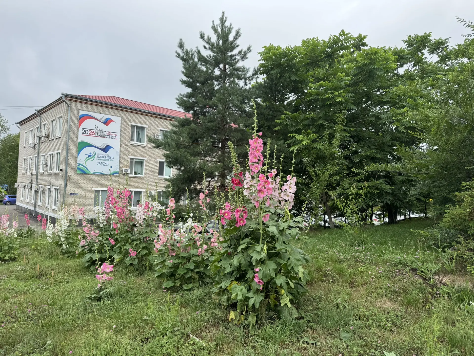 Красивого доброго утра вам, аМУРчики ❤️