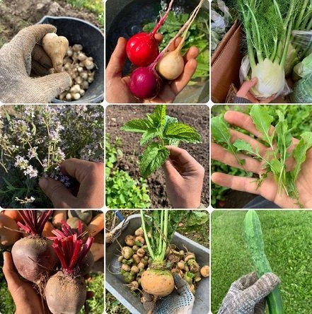 👨‍🌾👋Ферма Никола-Ленивец: Мы потрогали вашу еду!
В мире массового производства еда это просто тов