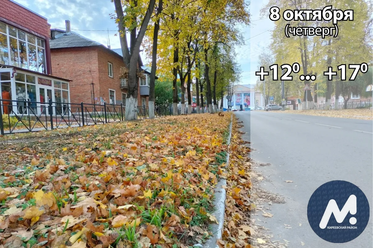 🌧️ 8 октября: погода в Киреевском районе и народные приметы дня​