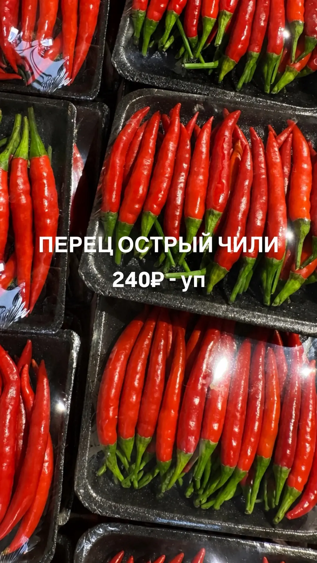 ОСТРЫЙ ПЕРЕЦ ЧИЛИ 🌶️