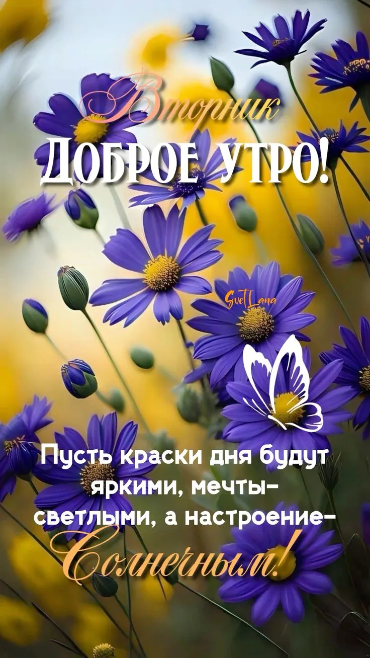 #вторник