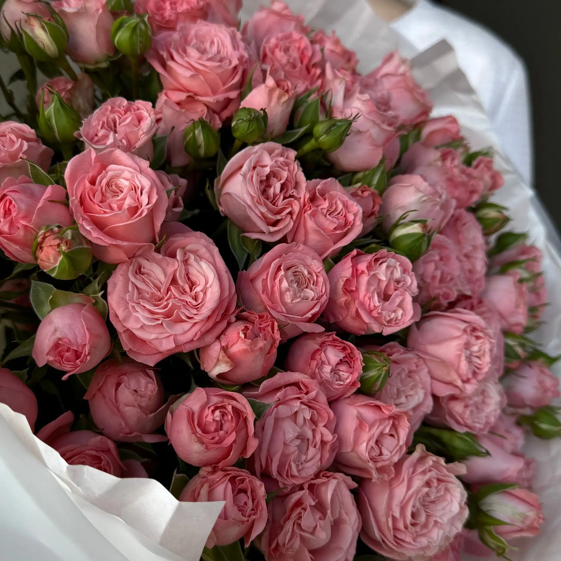 🌸 Нежный букет с пионовидной кустовой розой, в который невозможно не влюбиться 😍