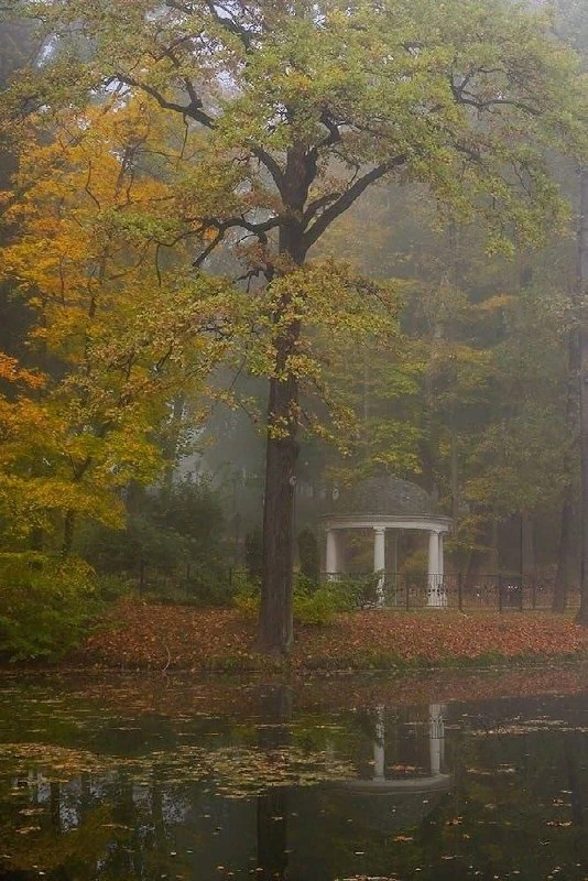 Осенние контрасты Платоновского парка 😍