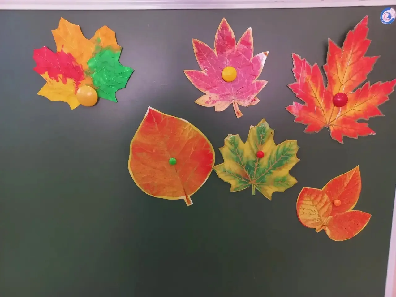 🍂 Осень радует нас своими разноцветными красками! 🍁