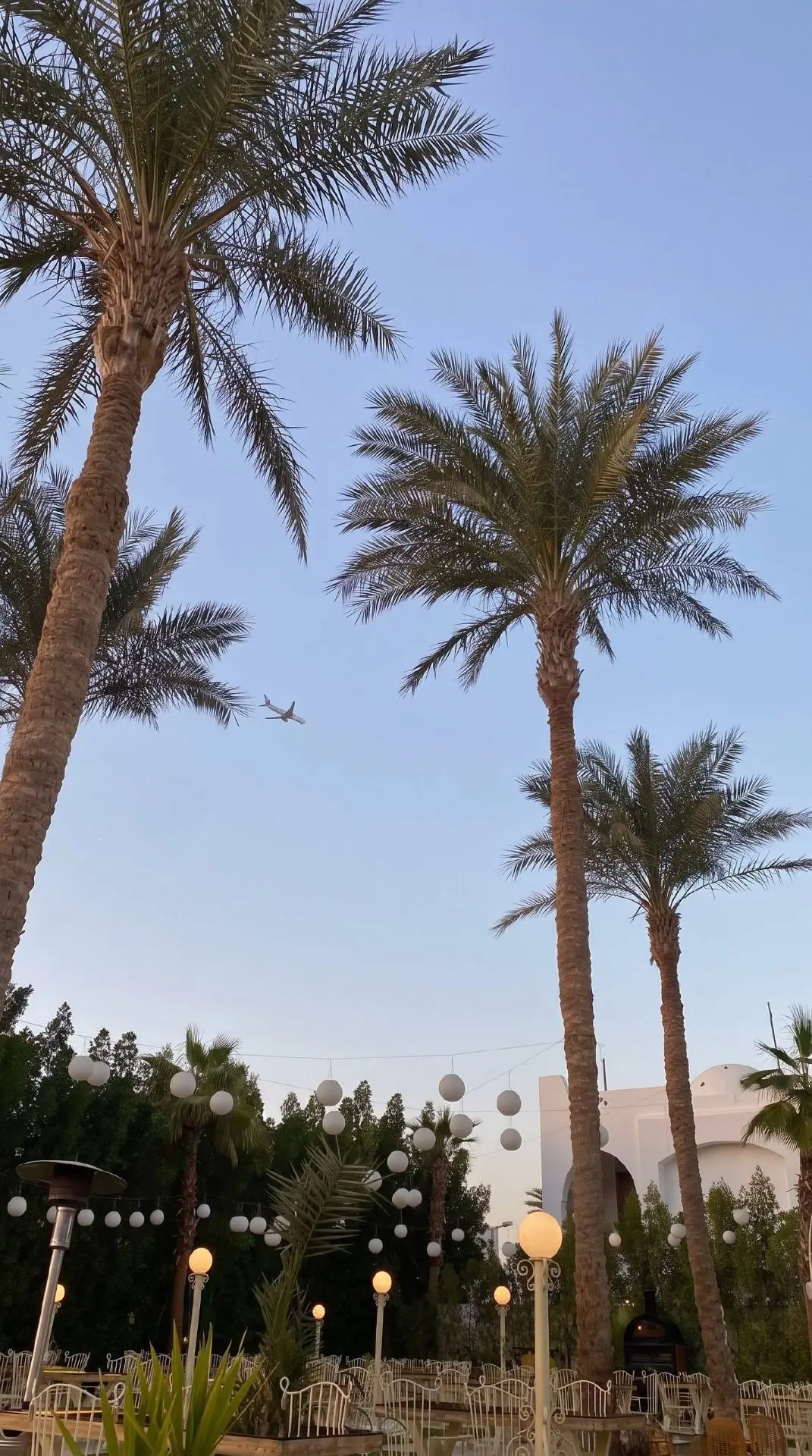 ✨ SWISSOTEL SHARM EL SHEIKH 5★ — тот случай, когда Египет выглядит совсем иначе