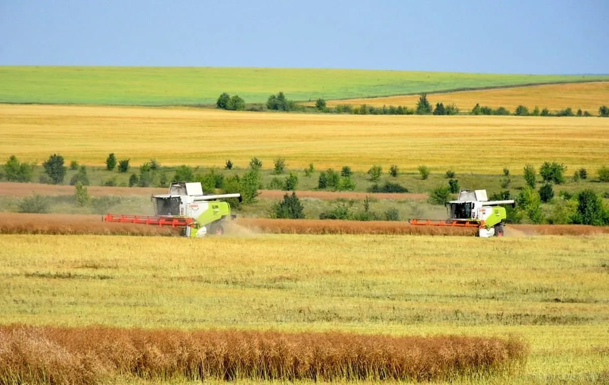 🌾 УБОРОЧНАЯ 2026