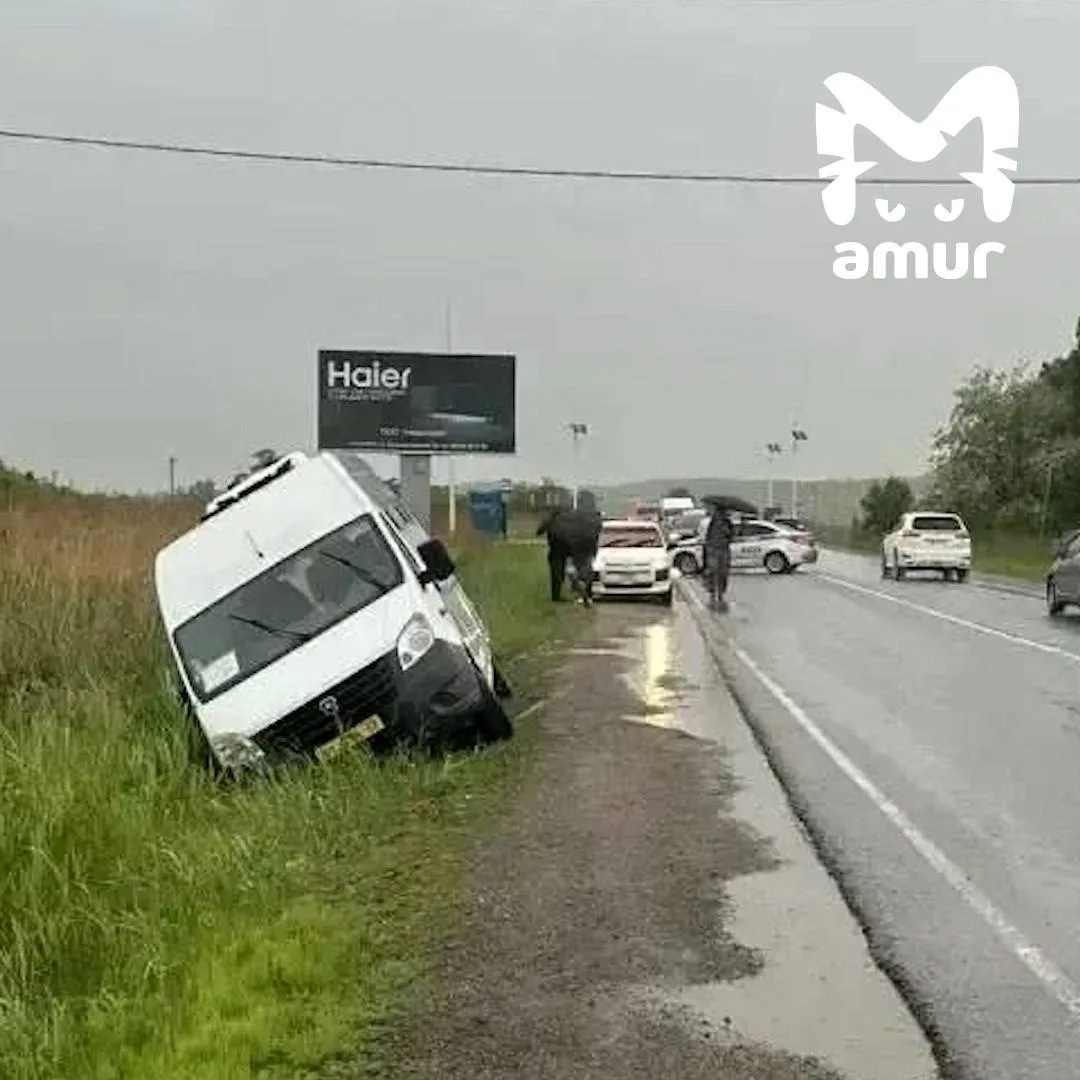 Под Уссурийском полная пассажиров маршрутка на скорости вылетела в кювет: пострадала 17...