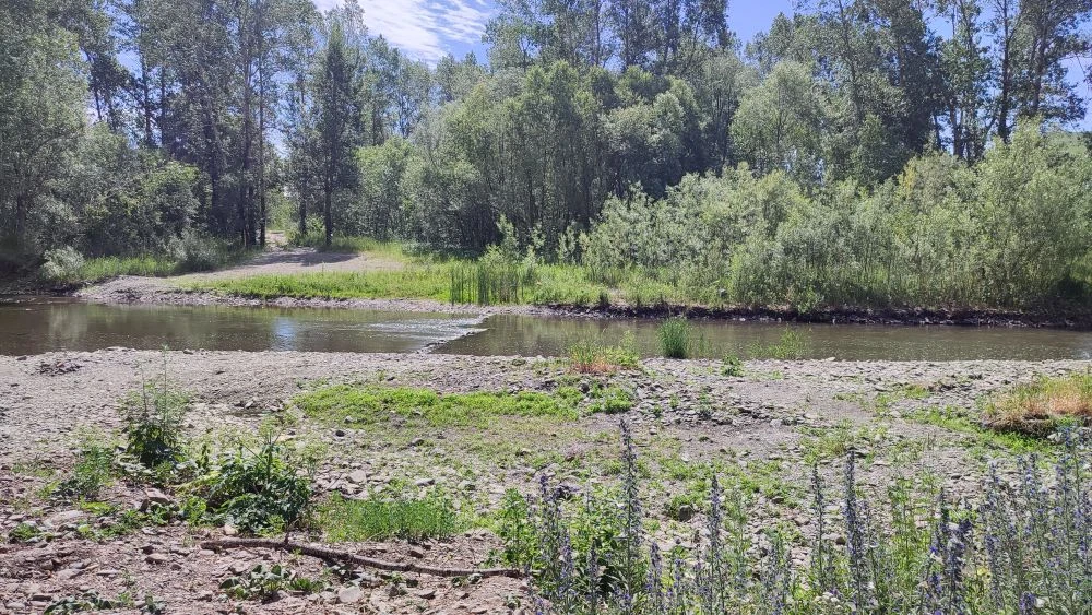 Родительский патруль сообщает! 🏊‍♂️

✅За минувшие выходные нарушителей на патрулируемой нами террит