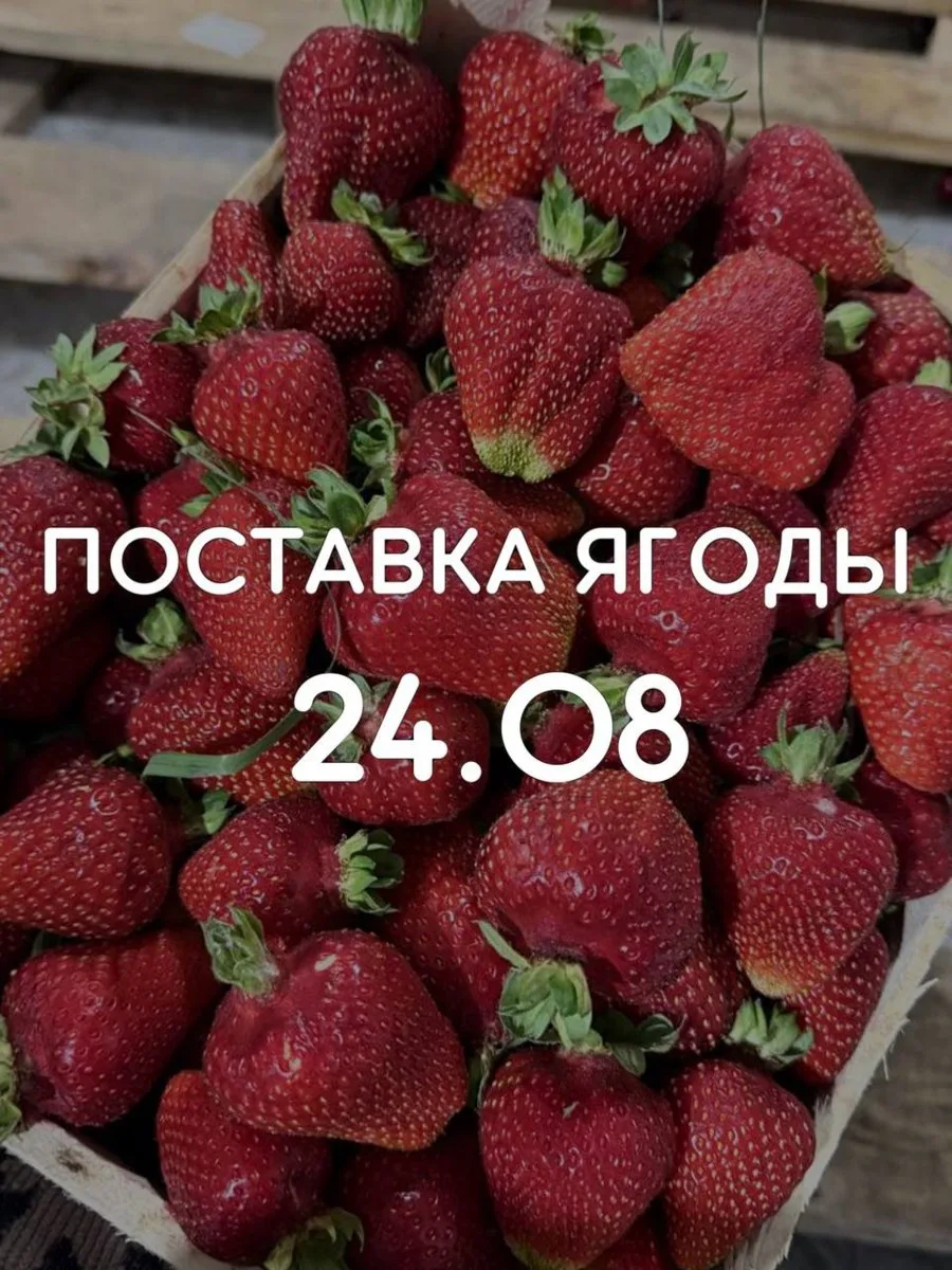 🍓 ПОСТАВКА СВЕЖЕЙ ЯГОДЫ - ЗАВТРА, 24.08! 🍓
