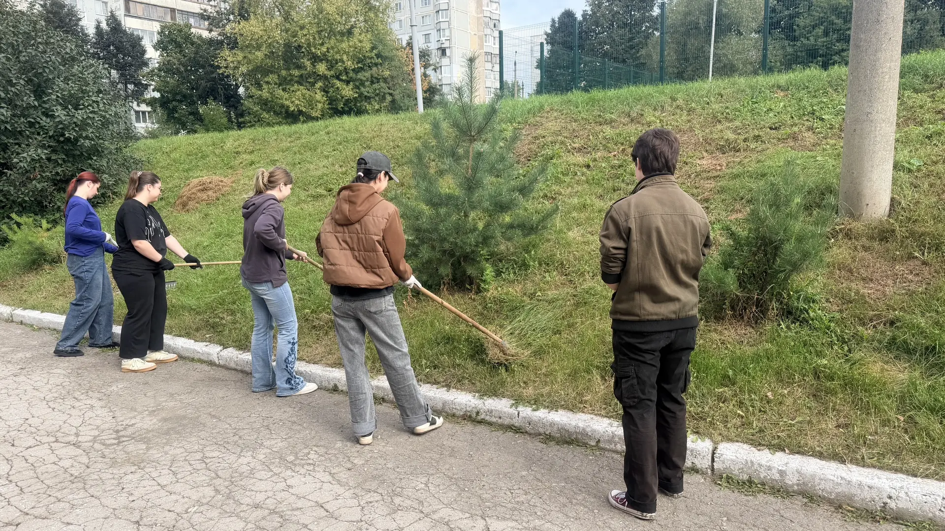 📊Школьная трудовая практика☘✨ учащихся 8А, 10А и 10Б классов