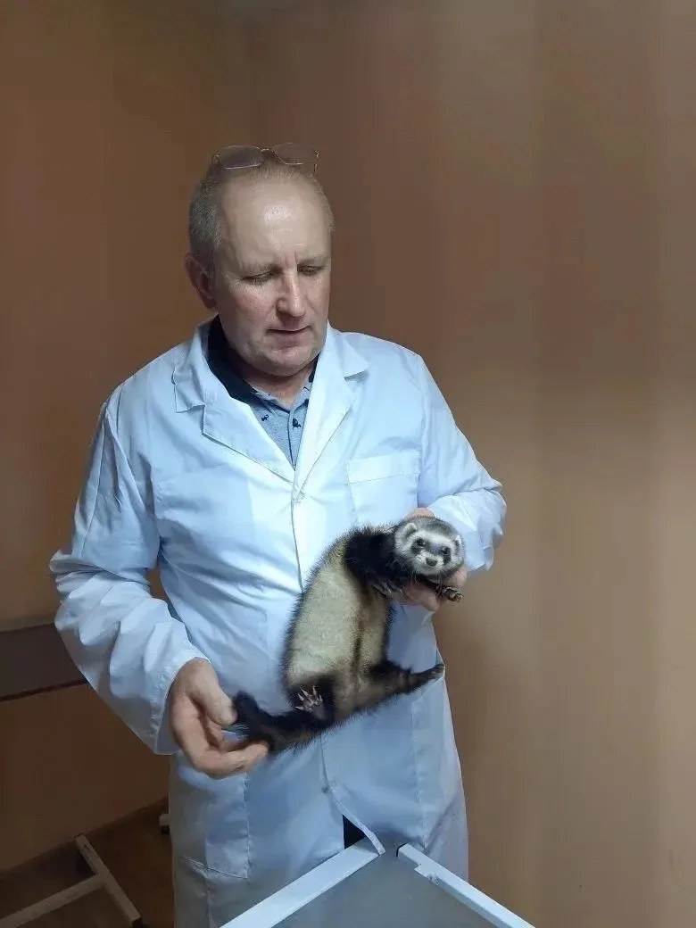 Ельнинский филиал активно проводит вакцинацию против бешенства. Эта важная профилактическая мера пом