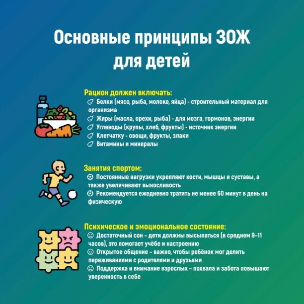 Основы здорового питания (ЗОЖ) для детей — это не жёсткая диета, а система принципов, к...
