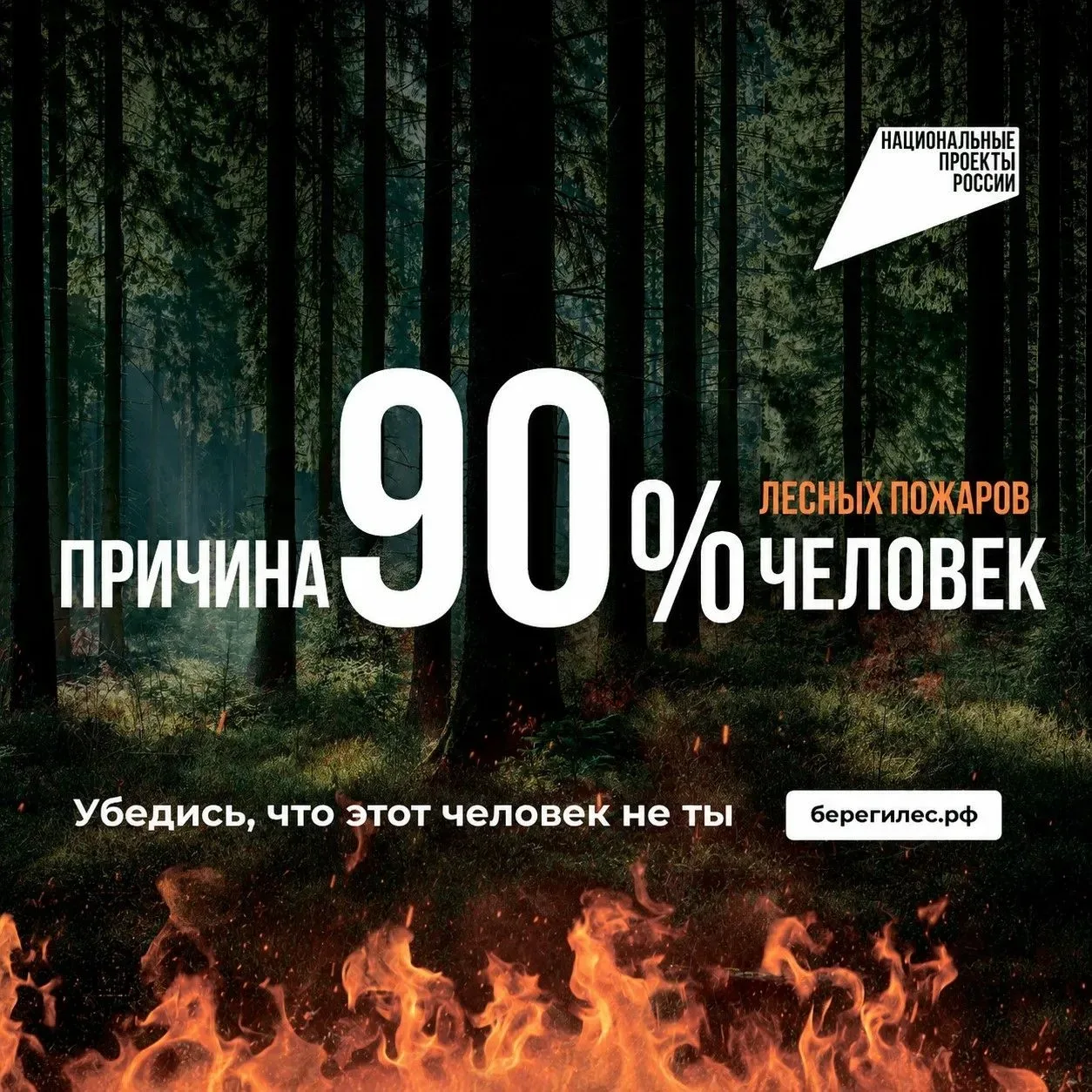 Большинство лесных пожаров возникает из‑за неосторожного обращения человека с огнём.

Безопасность в