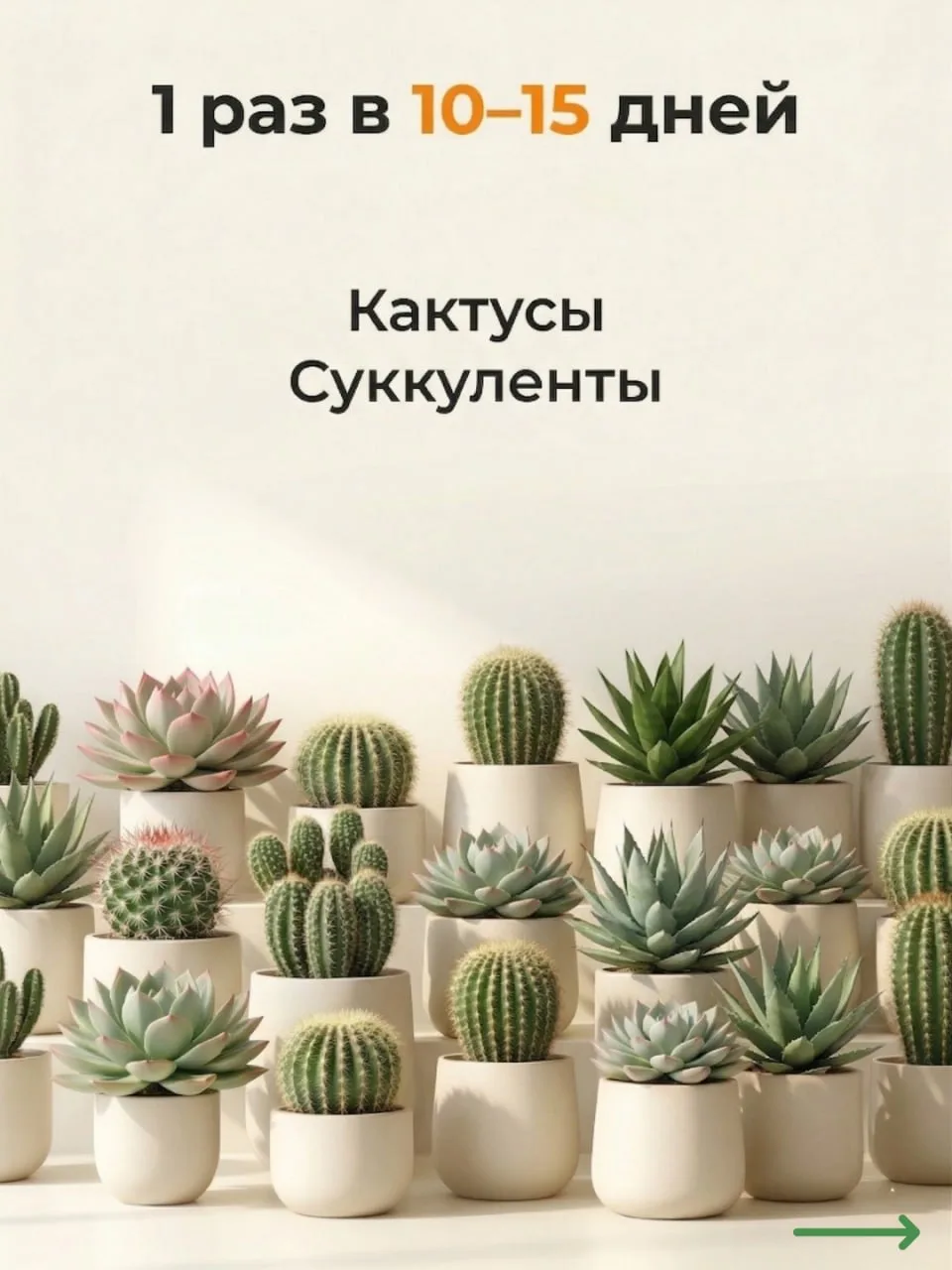 Секреты полива и питания комнатных джунглей: шпаргалка от ОрганикМикс 🌿  По статистике 93% россиян в