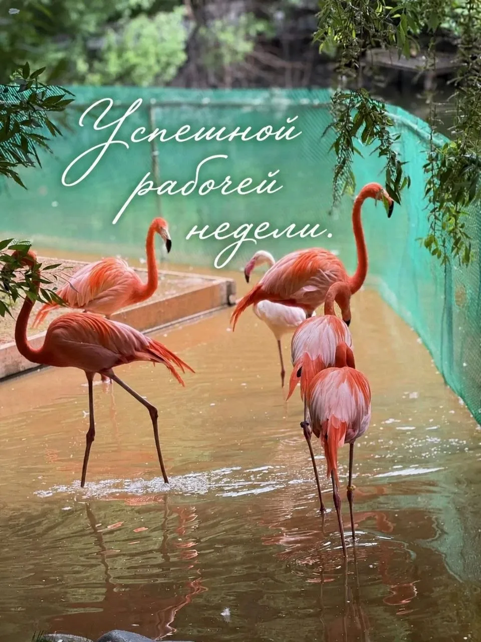 Всем солнечной недели☀️. Отличных, успешных рабочих дней. Пусть все цели будут достигнуты! 🎯