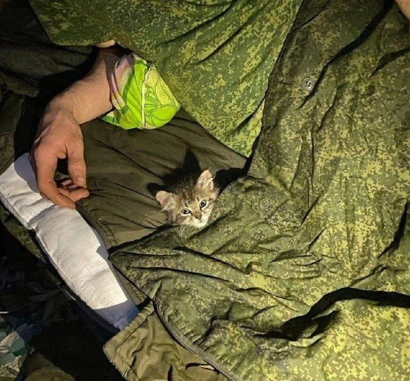 Наши воины держат фронт! 🇷🇺