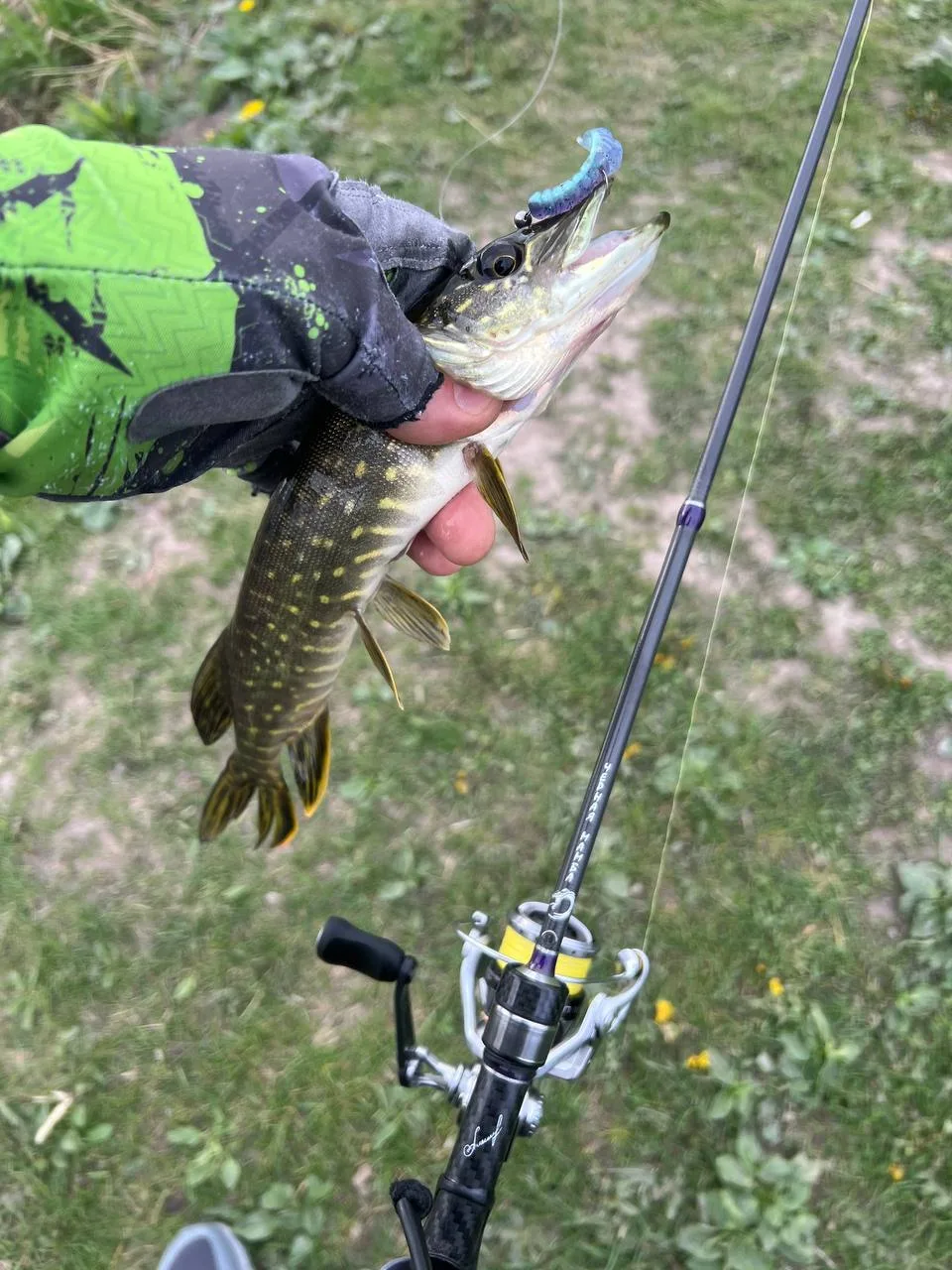 🗓 Лето 2026
📍 Окрестности СПБ
🎣 Спиннинг
➖ 
👨‍💼 Отчёт от подписчика
➖
Друзья всем привет , отче
