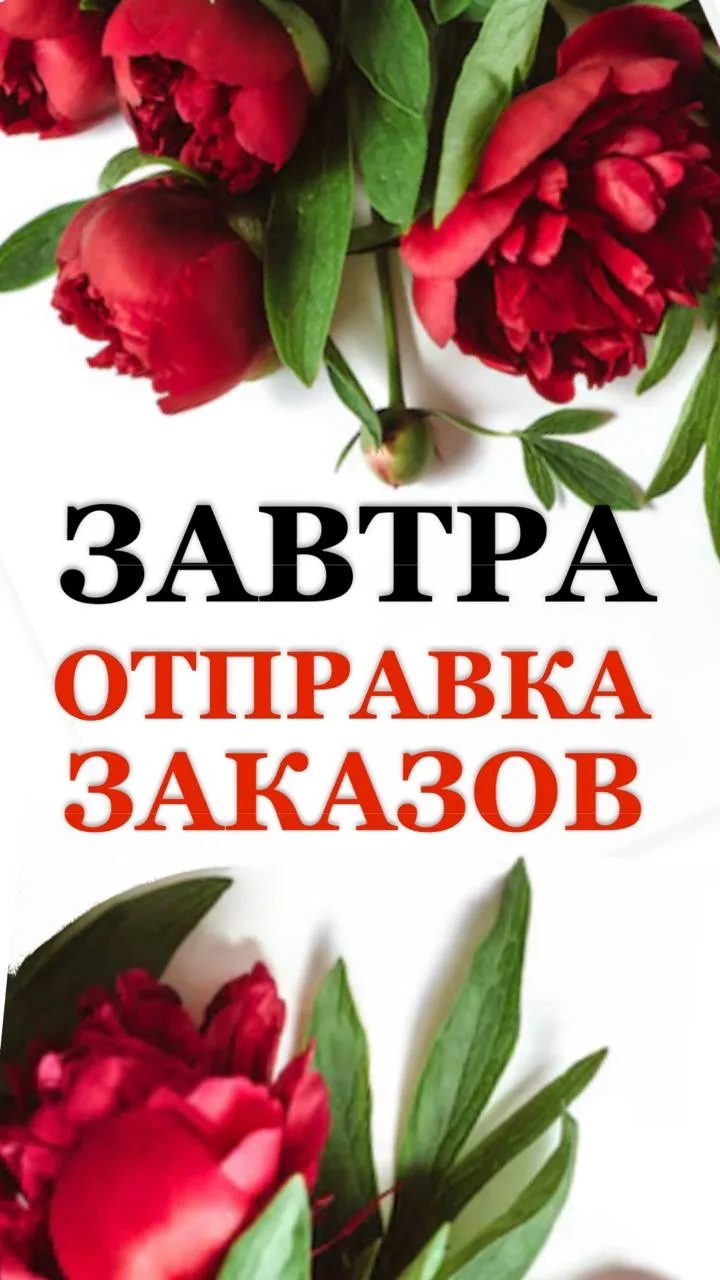 🔥ВНИМАНИЕ 🔥