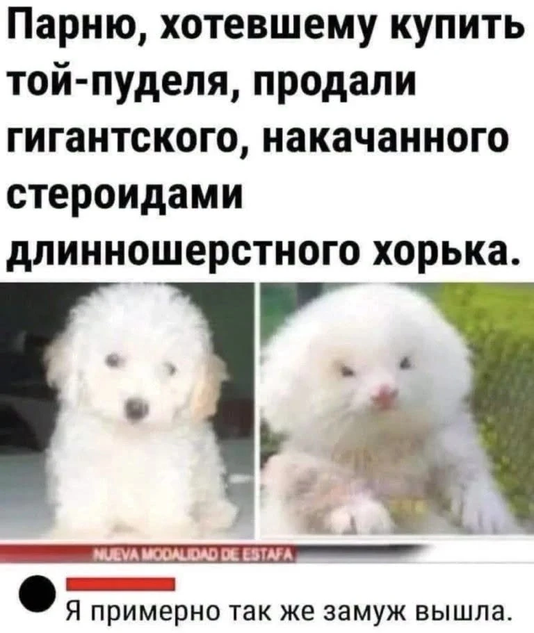 Наш телеграм: https://t.me/votetoprikol90