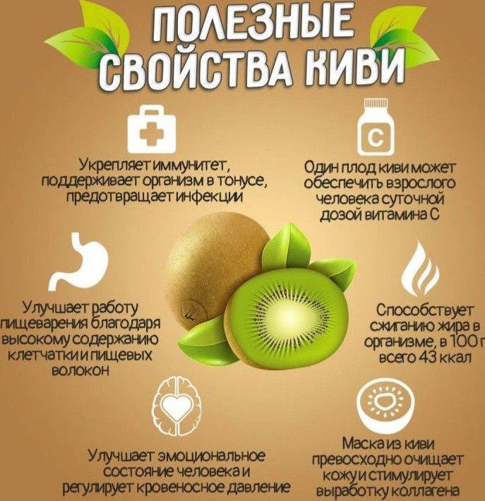 🥝Полезные свойства киви!

Читай выше!

🌿Травник