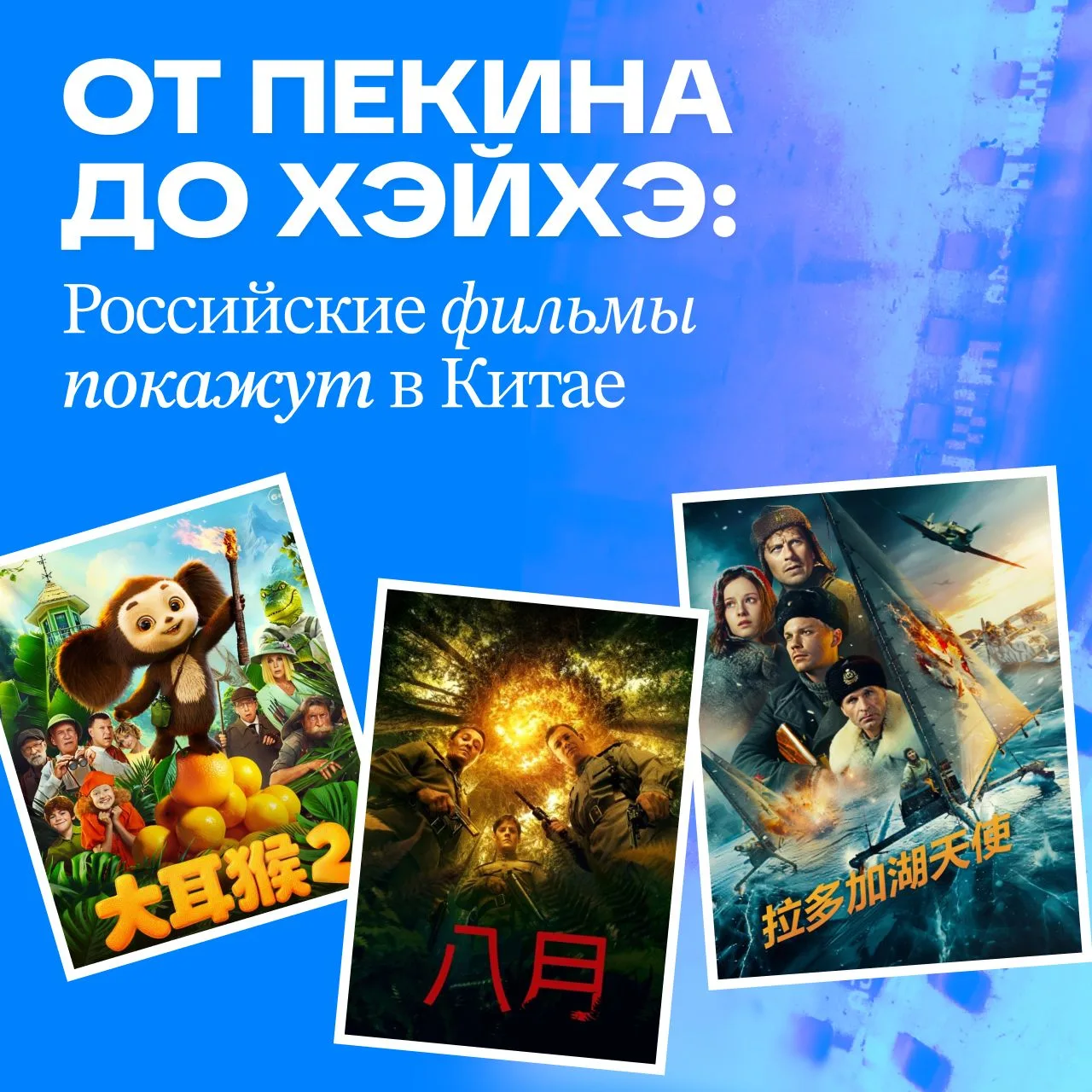 🎥 Хорошее кино не нуждается в визах, чтобы путешествовать по миру. Оно находит своего ...