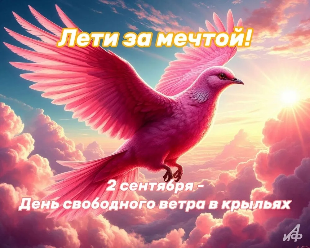 День свободного ветра в крыльях