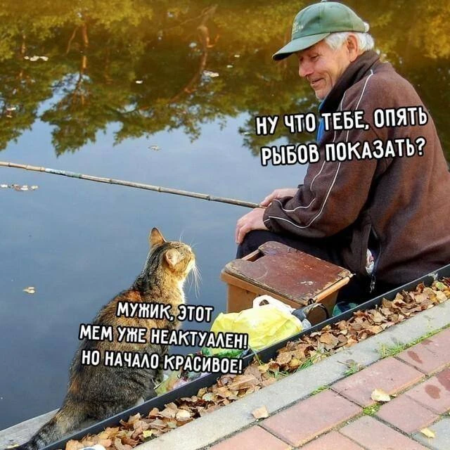 Минутка юмора