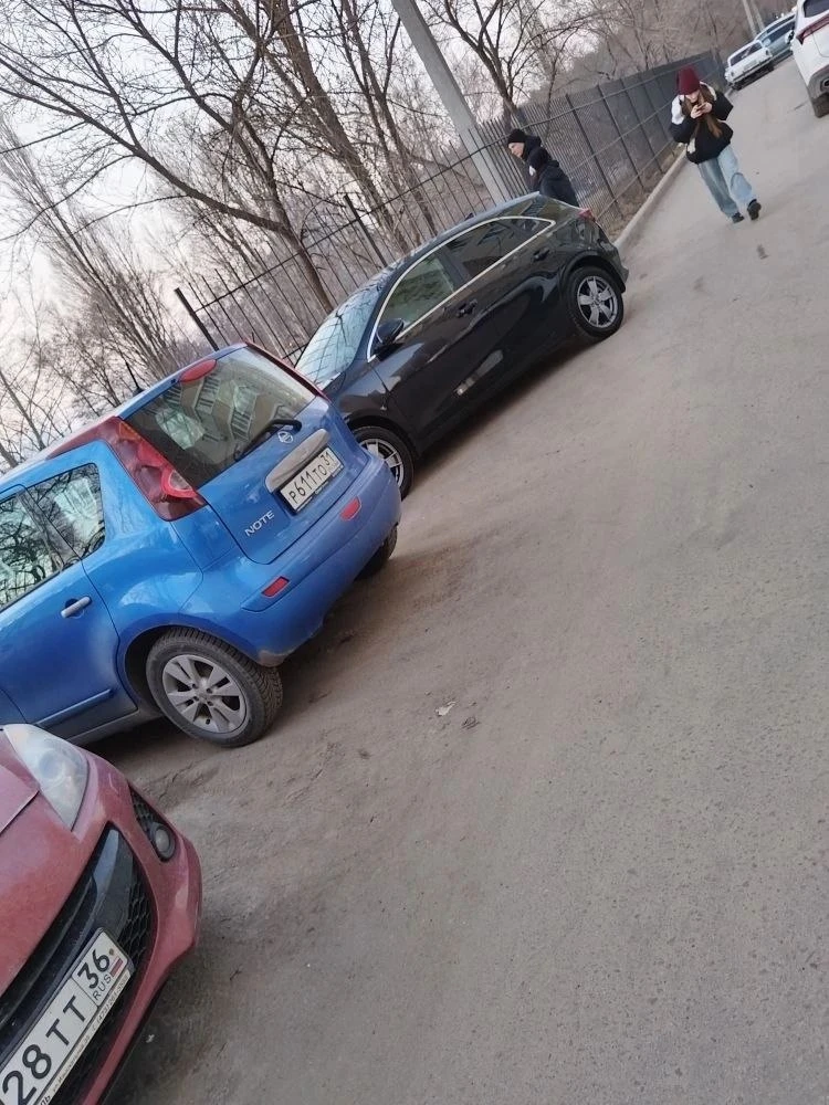 Есть владедьцы в чате? На вас забор упал.