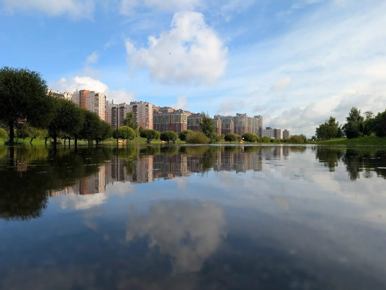 🏊‍♂️ Оккервиль знатно растолстел после вчерашних ливней