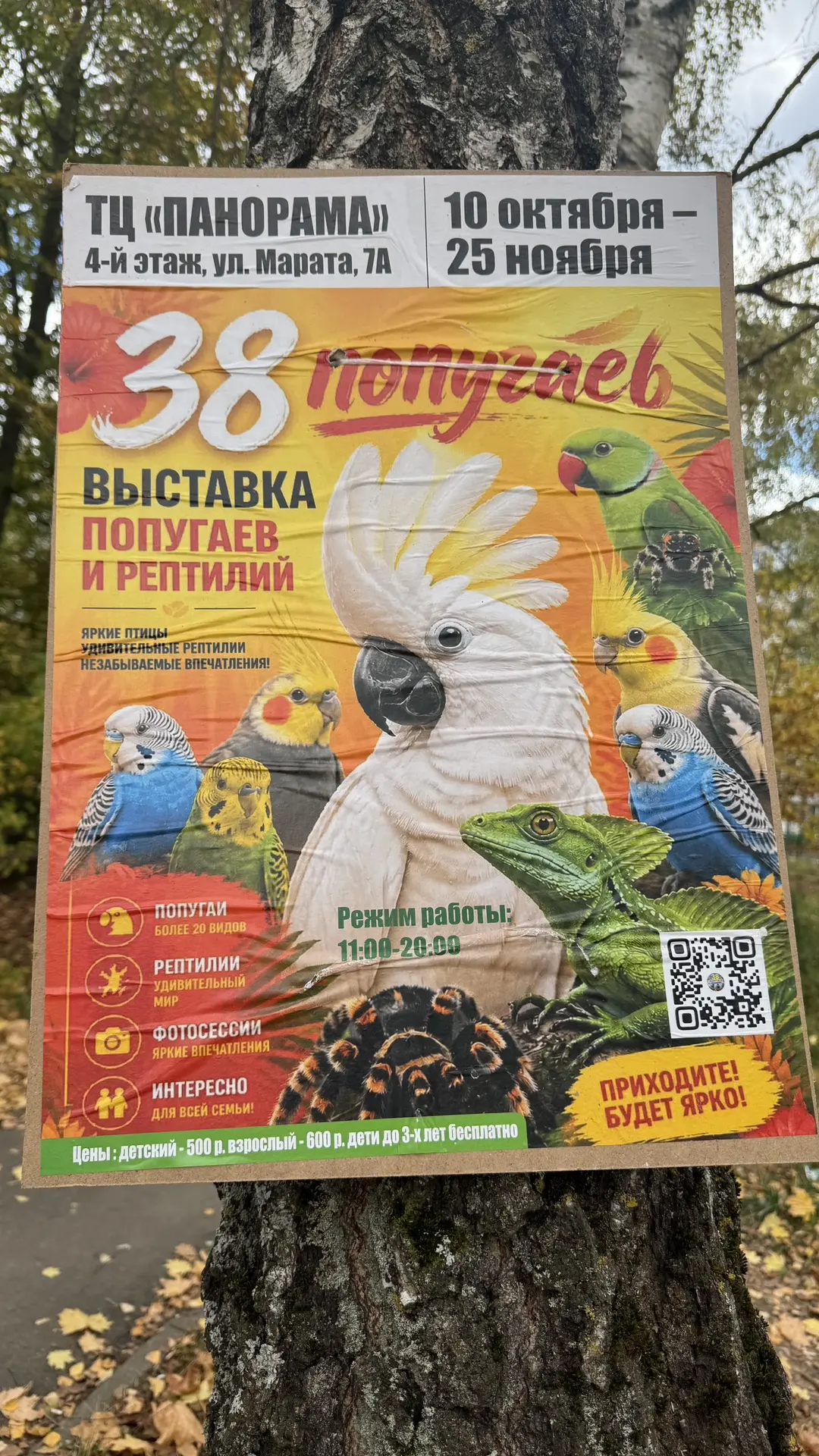 #мероприятия