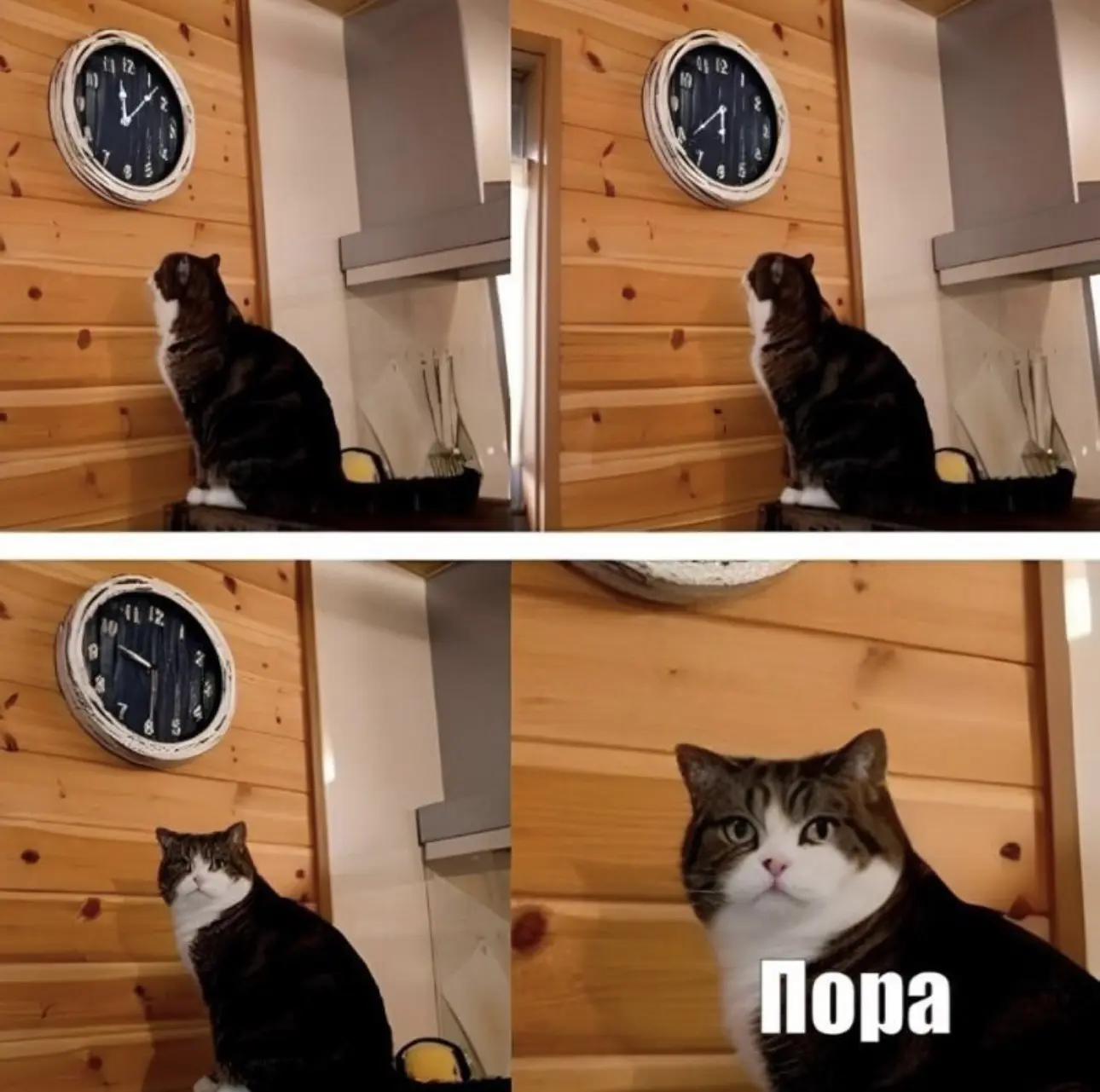 ⏰ Ещё не поздно ворваться в конкурс!